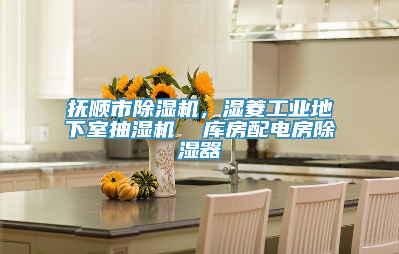 撫順市除濕機(jī)，濕菱工業(yè)地下室抽濕機(jī)  庫(kù)房配電房除濕器