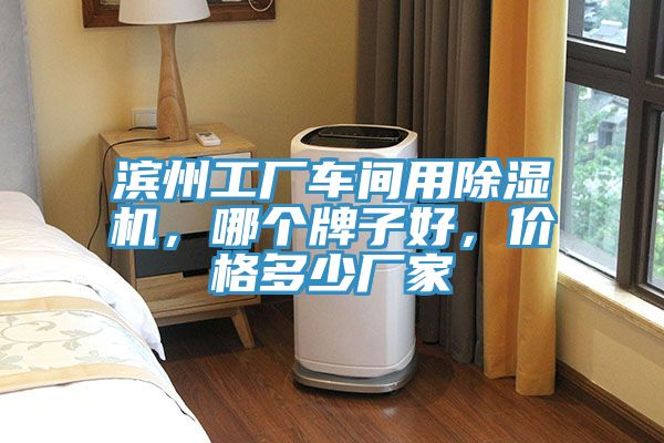 濱州工廠(chǎng)車(chē)間用除濕機(jī)，哪個(gè)牌子好，價(jià)格多少?gòu)S家