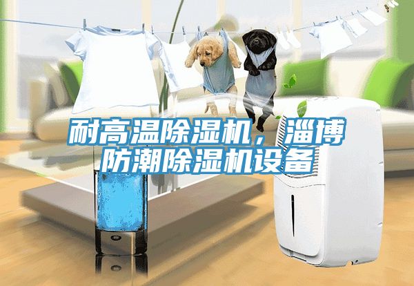 耐高溫除濕機(jī)，淄博防潮除濕機(jī)設(shè)備