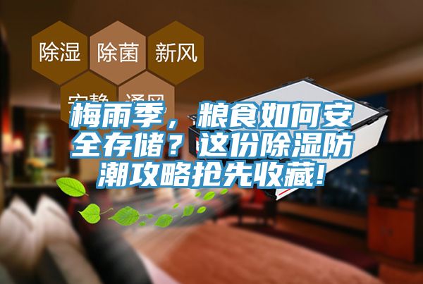 梅雨季，糧食如何安全存儲(chǔ)？這份除濕防潮攻略搶先收藏!