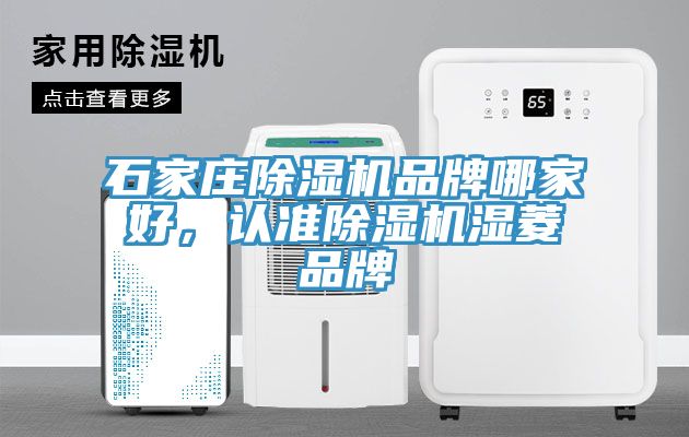 石家莊除濕機(jī)品牌哪家好，認(rèn)準(zhǔn)除濕機(jī)濕菱品牌