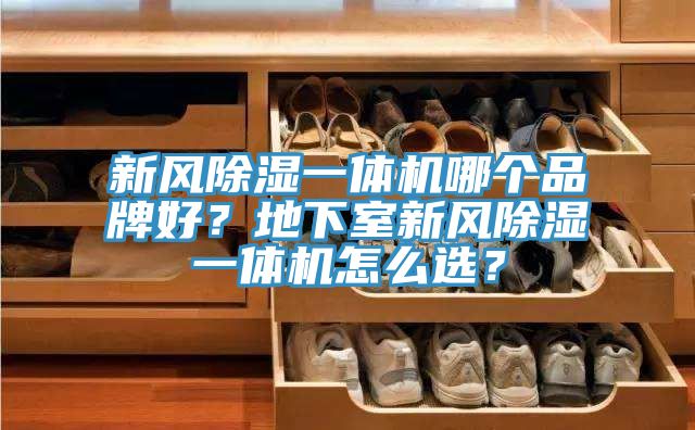 新風除濕一體機哪個品牌好？地下室新風除濕一體機怎么選？