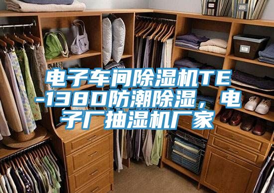 電子車間除濕機(jī)TE-138D防潮除濕，電子廠抽濕機(jī)廠家