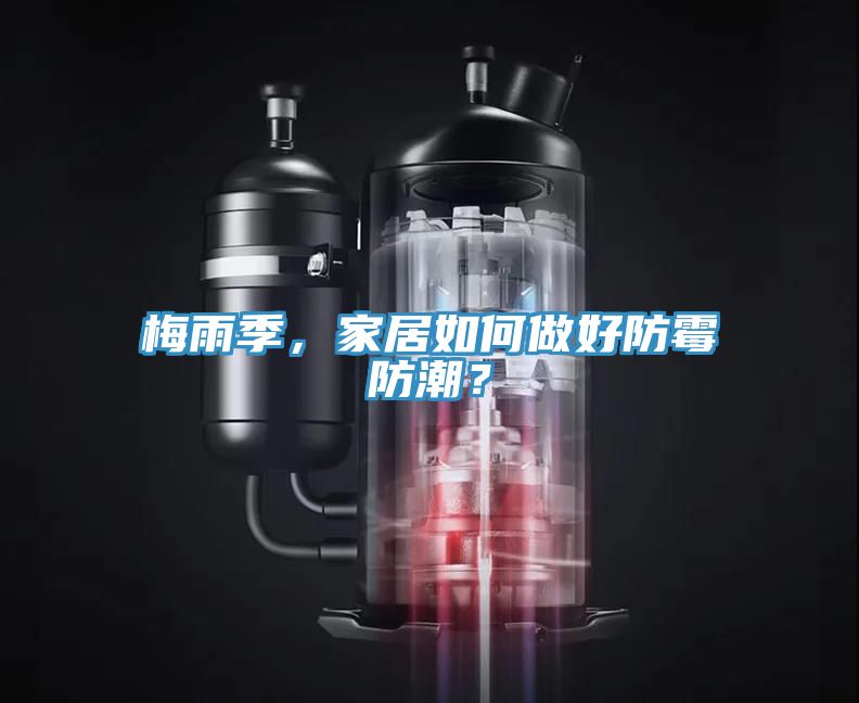梅雨季，家居如何做好防霉防潮？