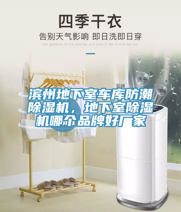 濱州地下室車(chē)庫(kù)防潮除濕機(jī)，地下室除濕機(jī)哪個(gè)品牌好廠(chǎng)家