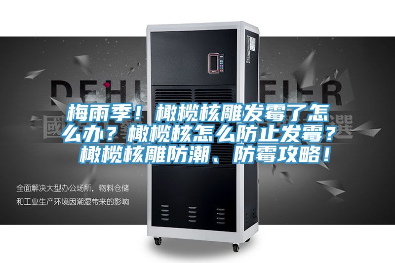 梅雨季！橄欖核雕發(fā)霉了怎么辦？橄欖核怎么防止發(fā)霉？ 橄欖核雕防潮、防霉攻略！