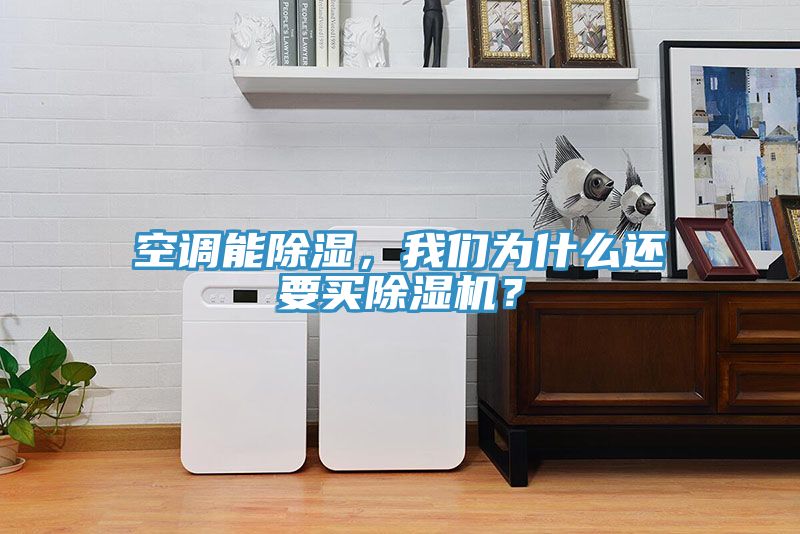 空調(diào)能除濕，我們?yōu)槭裁催€要買除濕機(jī)？