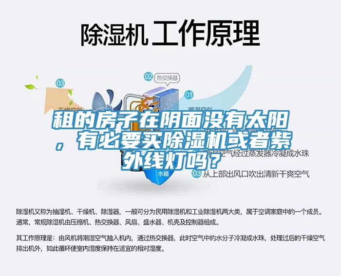 租的房子在陰面沒有太陽，有必要買除濕機(jī)或者紫外線燈嗎？