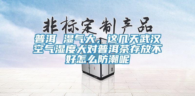 普洱 濕氣大，這幾天武漢空氣濕度大對(duì)普洱茶存放不好怎么防潮呢