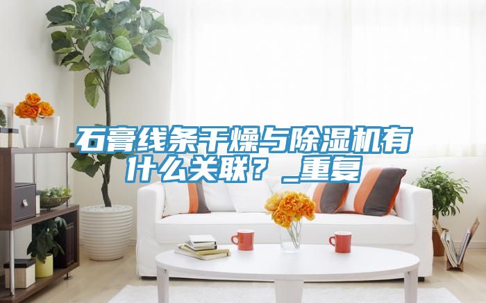 石膏線條干燥與除濕機(jī)有什么關(guān)聯(lián)？_重復(fù)
