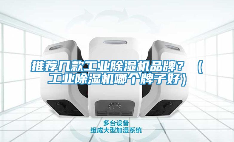 推薦幾款工業(yè)除濕機品牌？（工業(yè)除濕機哪個牌子好）