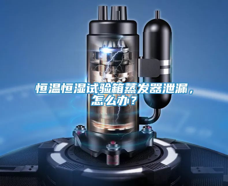 恒溫恒濕試驗(yàn)箱蒸發(fā)器泄漏，怎么辦？