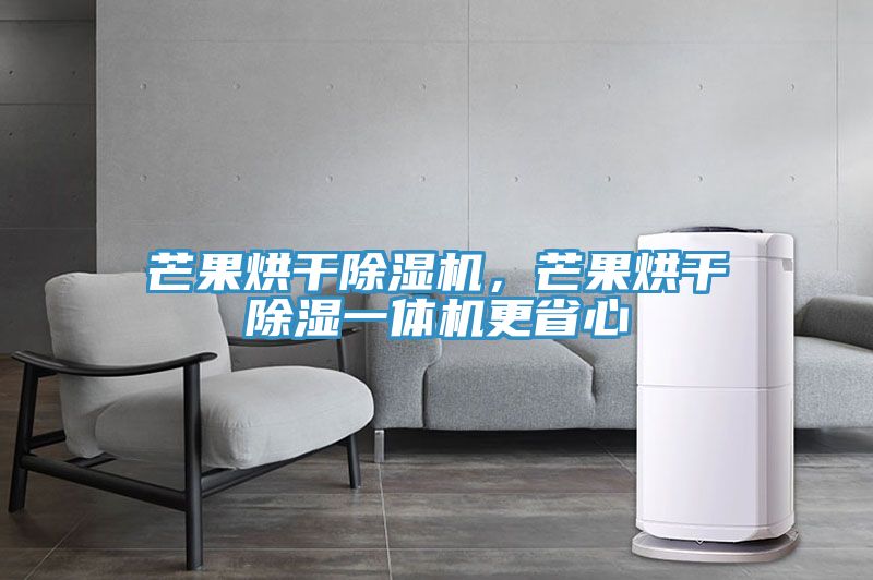 芒果烘干除濕機(jī)，芒果烘干除濕一體機(jī)更省心