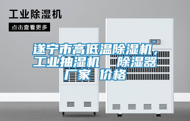 遂寧市高低溫除濕機(jī)，工業(yè)抽濕機(jī)  除濕器廠家 價(jià)格