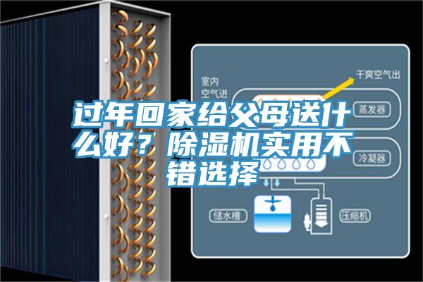 過年回家給父母送什么好？除濕機實用不錯選擇