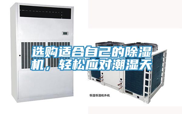 選購適合自己的除濕機，輕松應對潮濕天