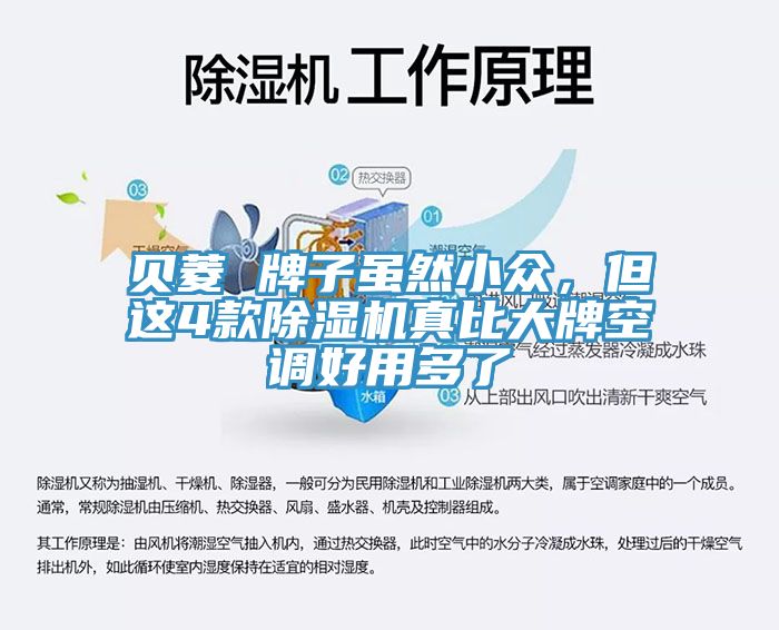 貝菱 牌子雖然小眾，但這4款除濕機(jī)真比大牌空調(diào)好用多了
