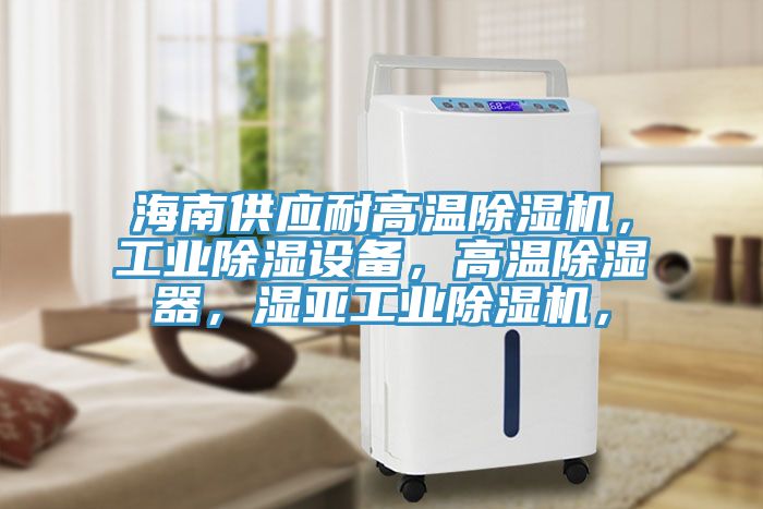 海南供應(yīng)耐高溫除濕機(jī)，工業(yè)除濕設(shè)備，高溫除濕器，濕亞工業(yè)除濕機(jī)，