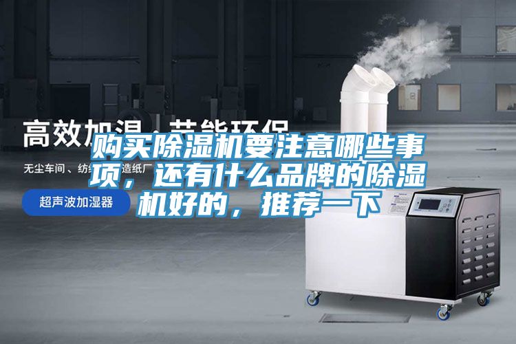 購(gòu)買除濕機(jī)要注意哪些事項(xiàng)，還有什么品牌的除濕機(jī)好的，推薦一下