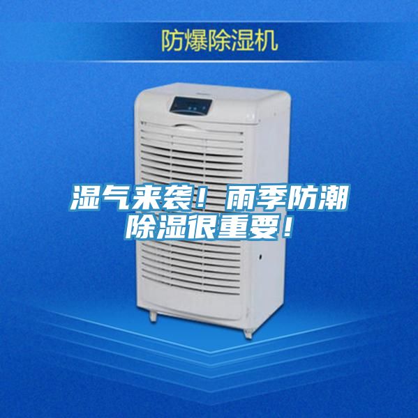 濕氣來襲！雨季防潮除濕很重要！