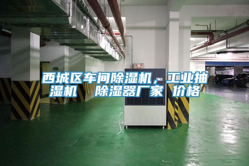 西城區(qū)車(chē)間除濕機(jī)，工業(yè)抽濕機(jī)  除濕器廠家 價(jià)格