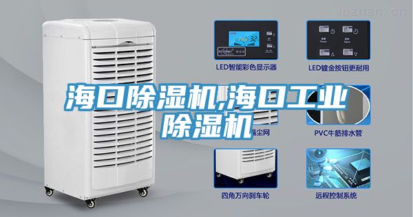 ?？诔凉駲C,?？诠I(yè)除濕機