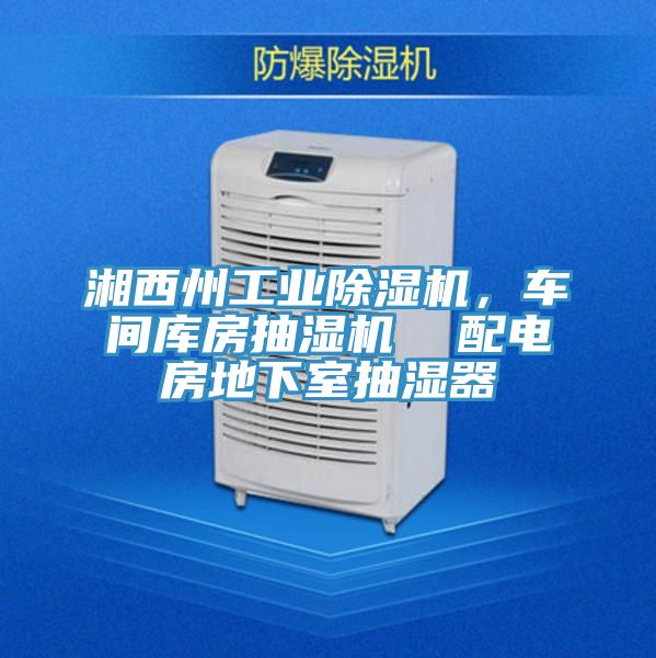 湘西州工業(yè)除濕機(jī)，車間庫(kù)房抽濕機(jī)  配電房地下室抽濕器