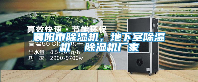 襄陽市除濕機(jī)，地下室除濕機(jī)  除濕機(jī)廠家