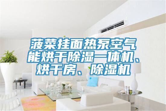 菠菜掛面熱泵空氣能烘干除濕一體機(jī)、烘干房、除濕機(jī)
