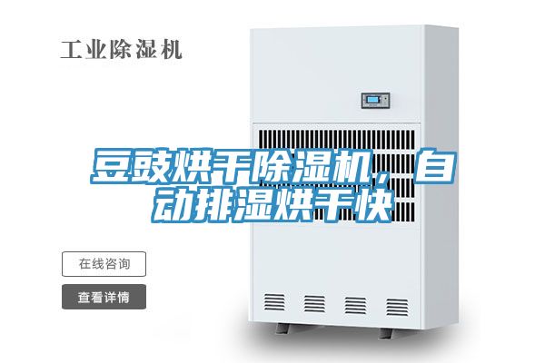 豆豉烘干除濕機(jī)，自動排濕烘干快
