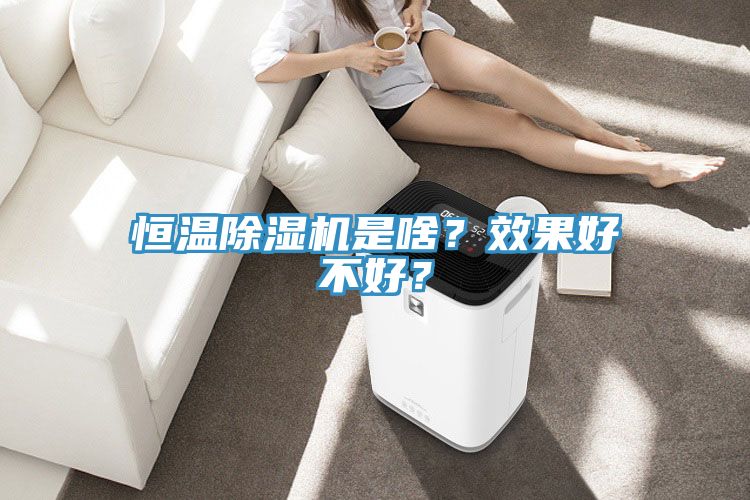 恒溫除濕機(jī)是啥？效果好不好？