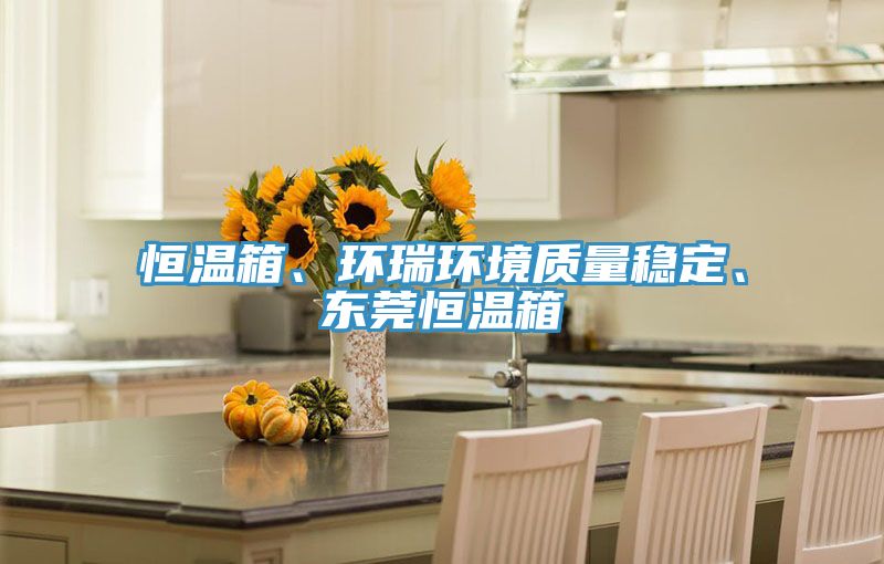 恒溫箱、環(huán)瑞環(huán)境質(zhì)量穩(wěn)定、東莞恒溫箱