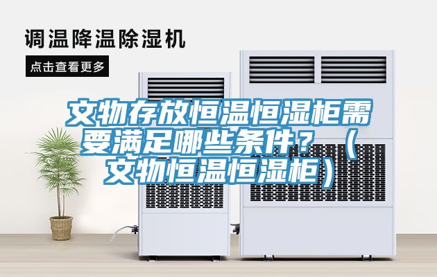 文物存放恒溫恒濕柜需要滿足哪些條件？（文物恒溫恒濕柜）