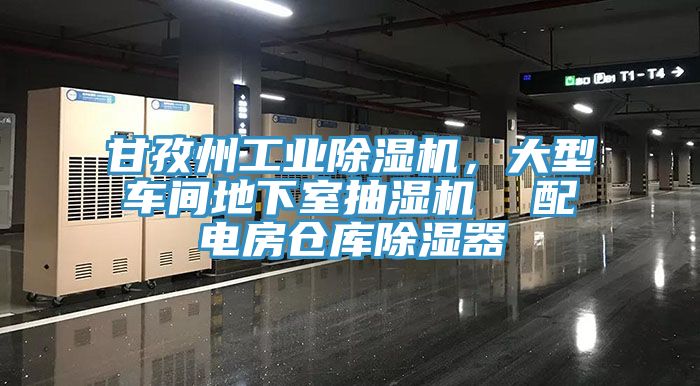 甘孜州工業(yè)除濕機(jī)，大型車間地下室抽濕機(jī)  配電房倉庫除濕器