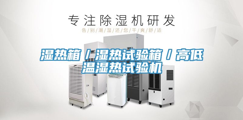 濕熱箱／濕熱試驗箱／高低溫濕熱試驗機(jī)
