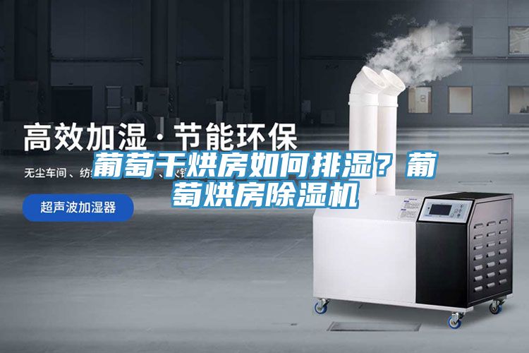 葡萄干烘房如何排濕？葡萄烘房除濕機
