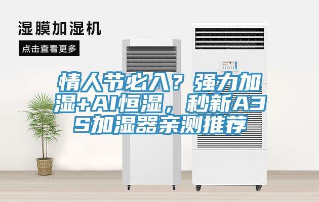 情人節(jié)必入？強(qiáng)力加濕+AI恒濕，秒新A3S加濕器親測(cè)推薦