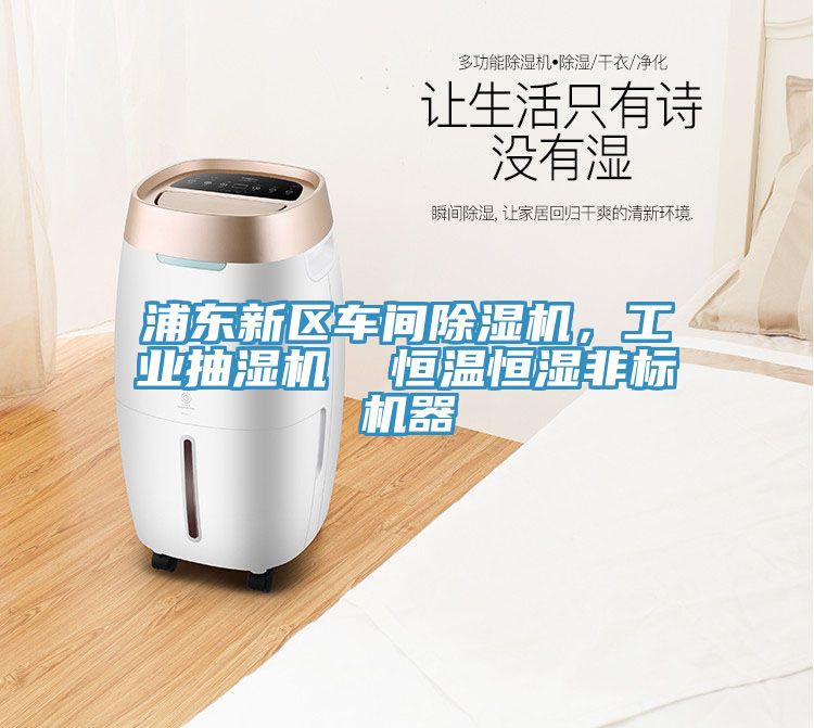 浦東新區(qū)車間除濕機(jī)，工業(yè)抽濕機(jī)  恒溫恒濕非標(biāo)機(jī)器