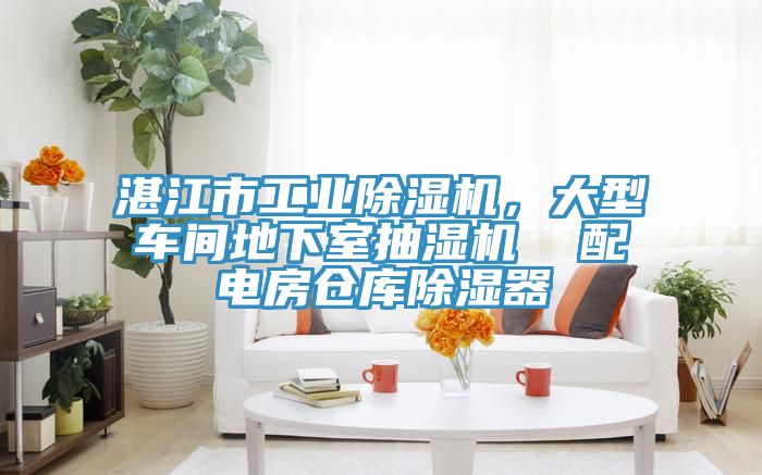 湛江市工業(yè)除濕機(jī)，大型車間地下室抽濕機(jī)  配電房倉(cāng)庫(kù)除濕器