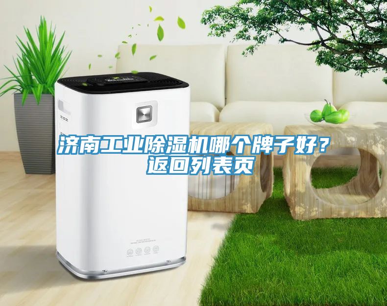 濟(jì)南工業(yè)除濕機(jī)哪個牌子好？ 返回列表頁