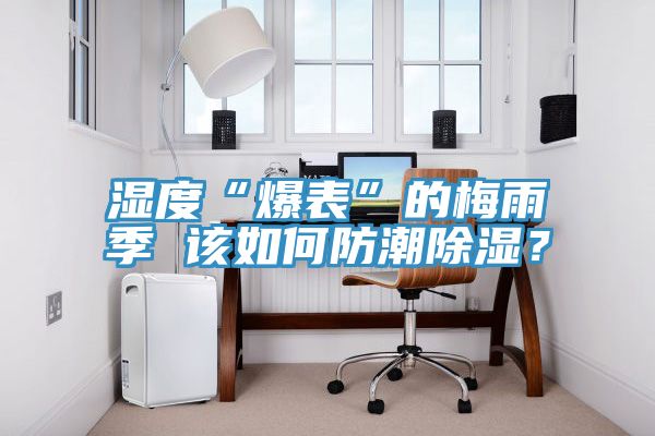 濕度“爆表”的梅雨季 該如何防潮除濕？