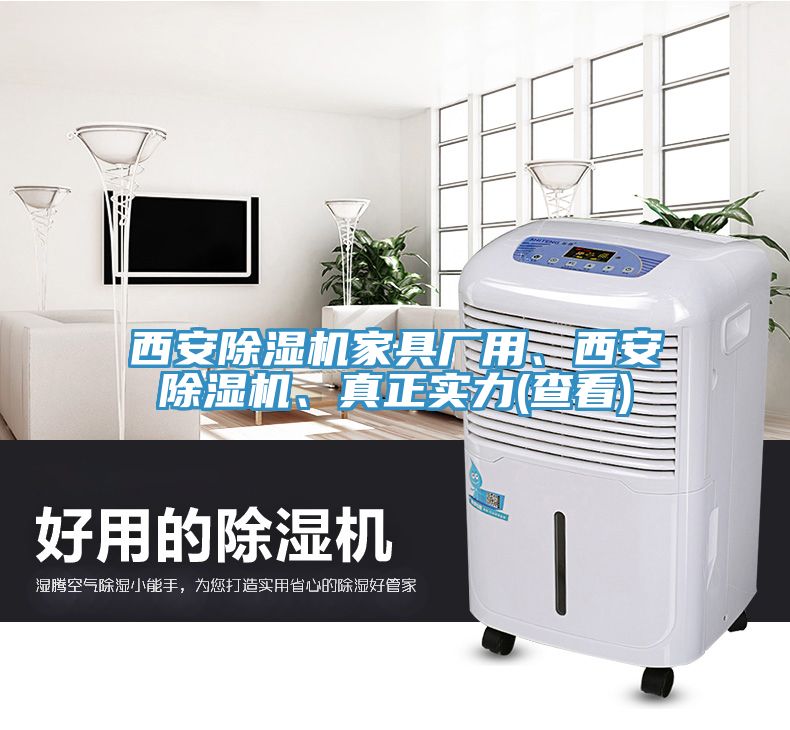 西安除濕機家具廠用、西安除濕機、真正實力(查看)