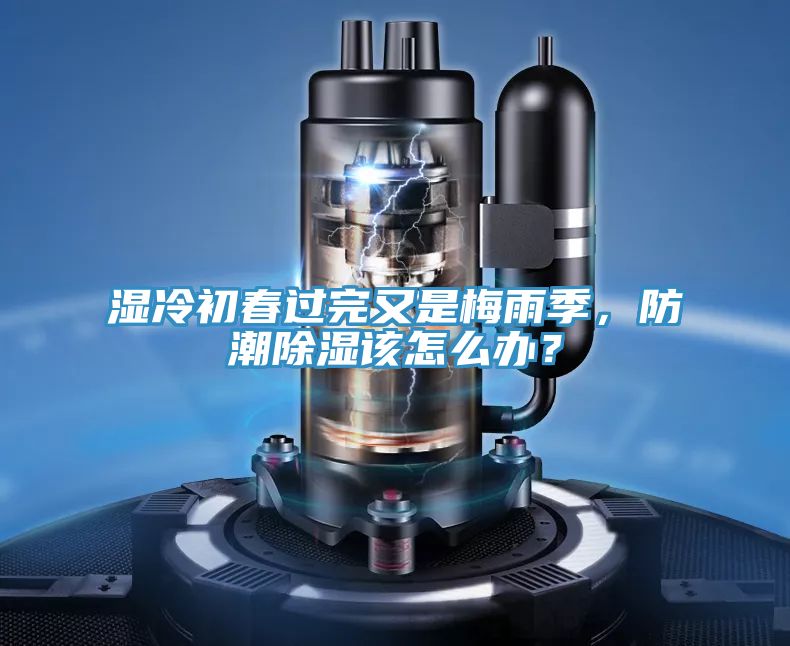 濕冷初春過(guò)完又是梅雨季，防潮除濕該怎么辦？