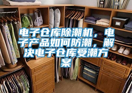 電子倉庫除潮機，電子產(chǎn)品如何防潮，解決電子倉庫受潮方案
