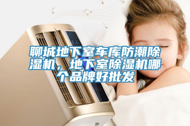 聊城地下室車庫防潮除濕機，地下室除濕機哪個品牌好批發(fā)