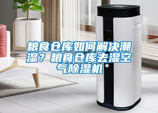 糧食倉庫如何解決潮濕？糧食倉庫去濕空氣除濕機