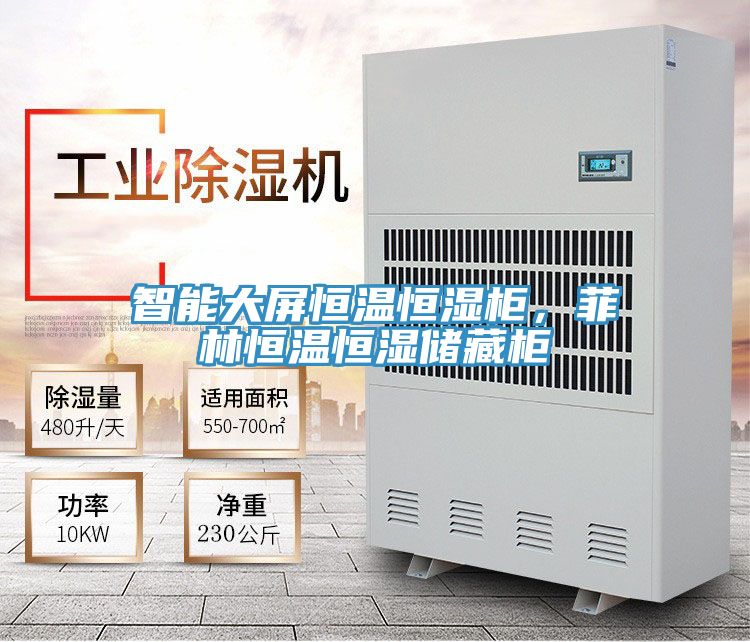 智能大屏恒溫恒濕柜，菲林恒溫恒濕儲(chǔ)藏柜