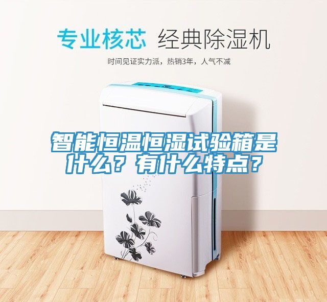 智能恒溫恒濕試驗(yàn)箱是什么？有什么特點(diǎn)？