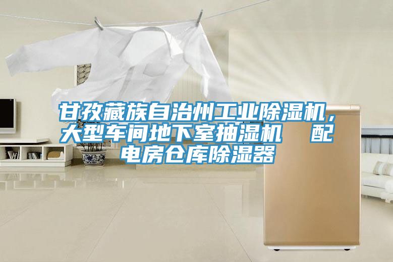甘孜藏族自治州工業(yè)除濕機(jī)，大型車間地下室抽濕機(jī)  配電房倉庫除濕器