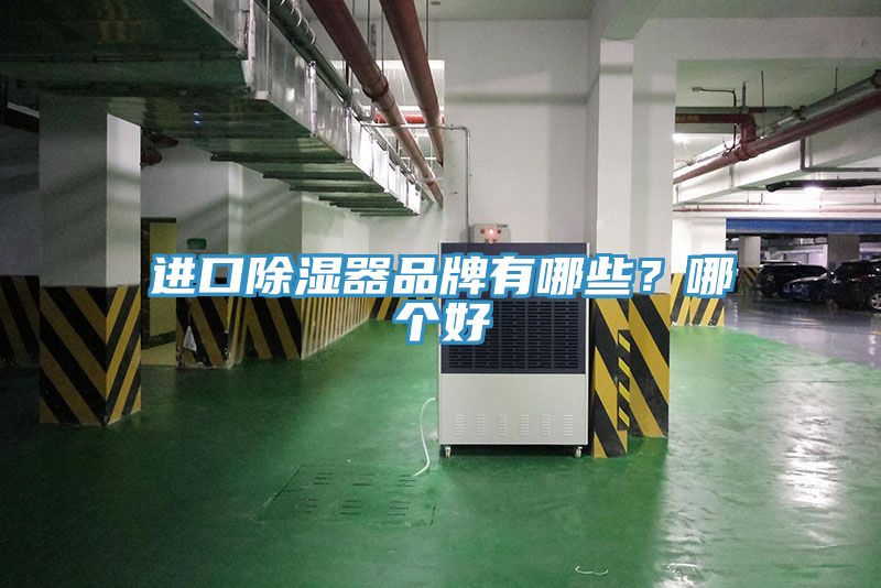 進(jìn)口除濕器品牌有哪些？哪個(gè)好